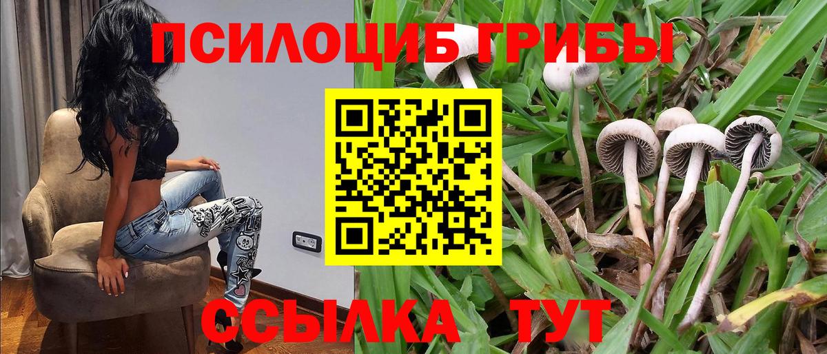 Псилоцибиновые грибы GOLDEN TEACHER  Галлюциногенные грибы GOLDEN TEACHER  Вход с VPN  Ликино-Дулёво 